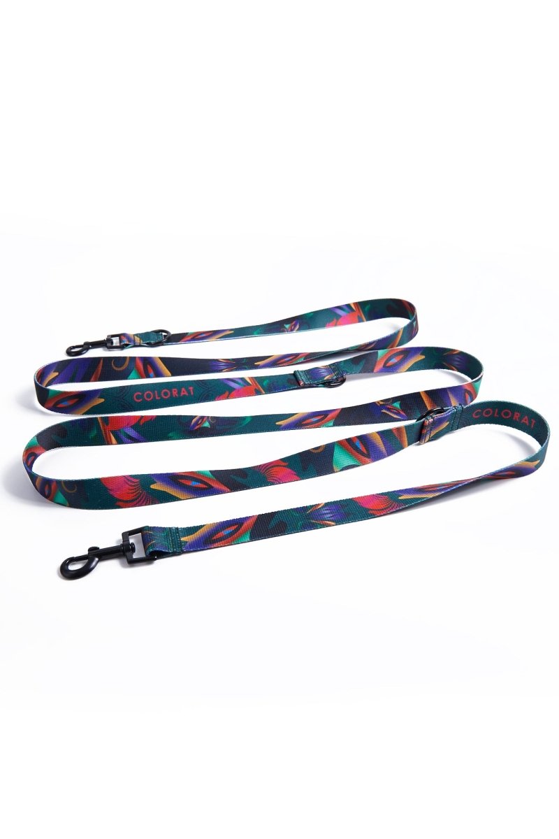 Correa Desmontable para Gatos