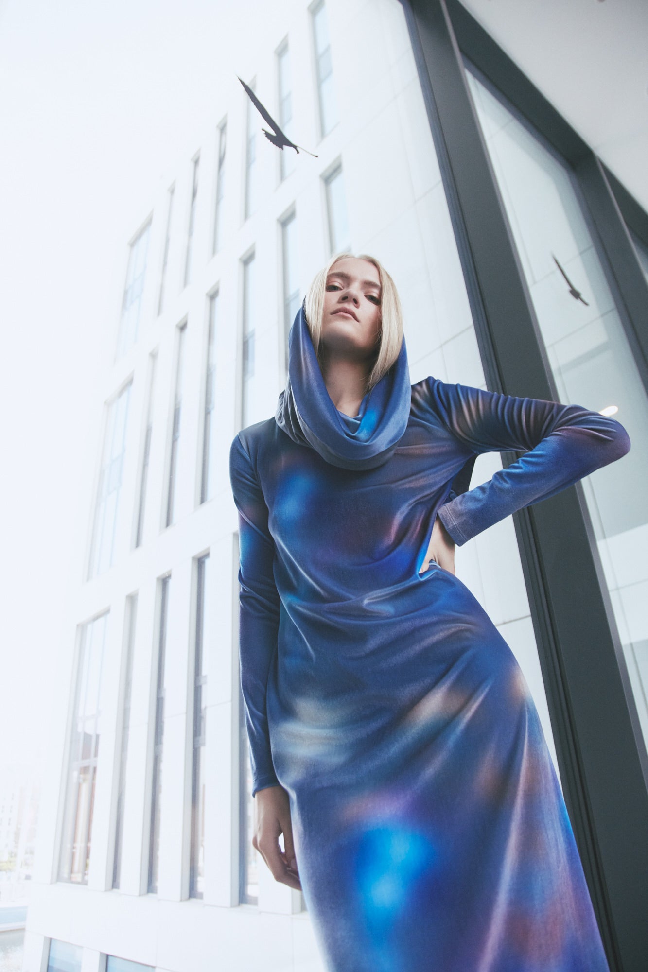 Blue Snow Leo S.E. Dress